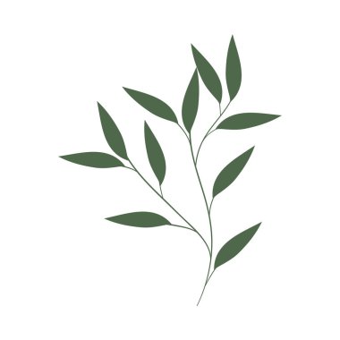 Yaygın kül yaprakları