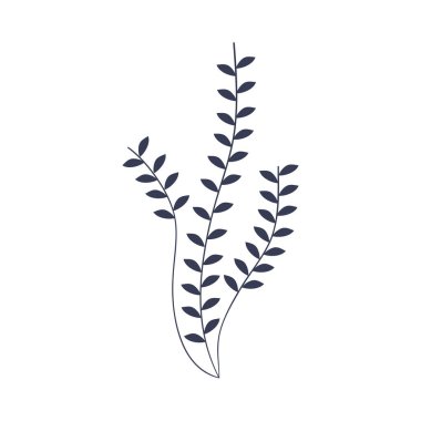 küçük yaprak sapı