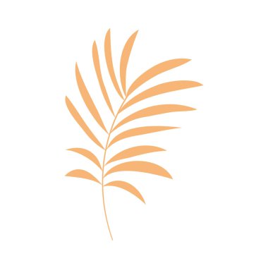 turuncu tropik palmiye