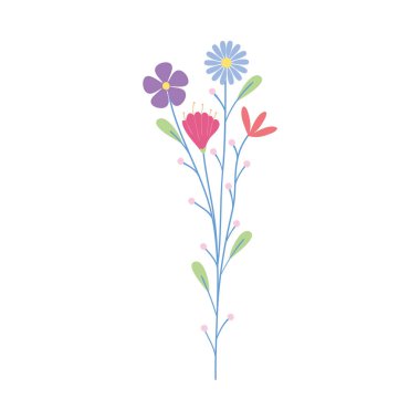 güzel çiçek tasarımı