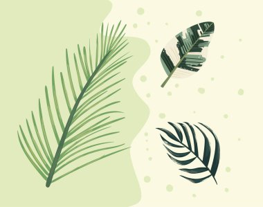 sembol koleksiyonunu bırakır