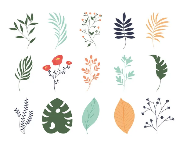 Tropical leaves set — Stock Vector