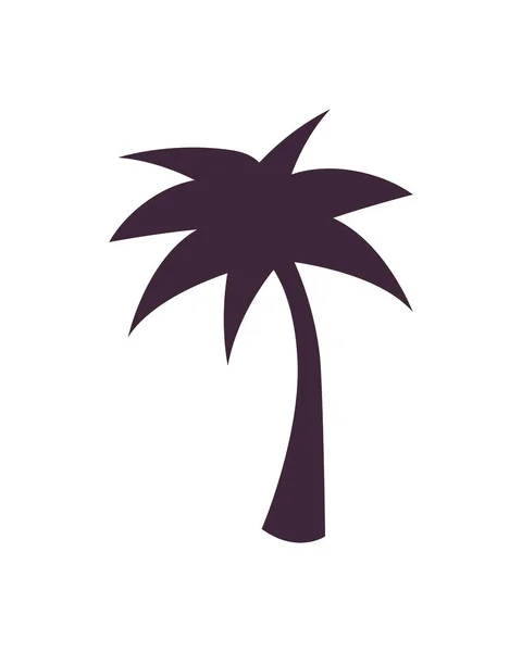 Palm tree silhouette — Stock Vector