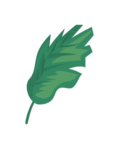 식물 잎으로 만든 아이콘 — 스톡 벡터