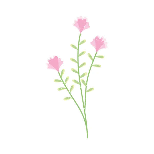 Zweig rosa Blüten — Stockvektor