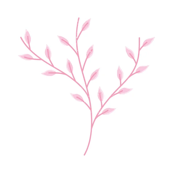 분홍빛 잎 — 스톡 벡터