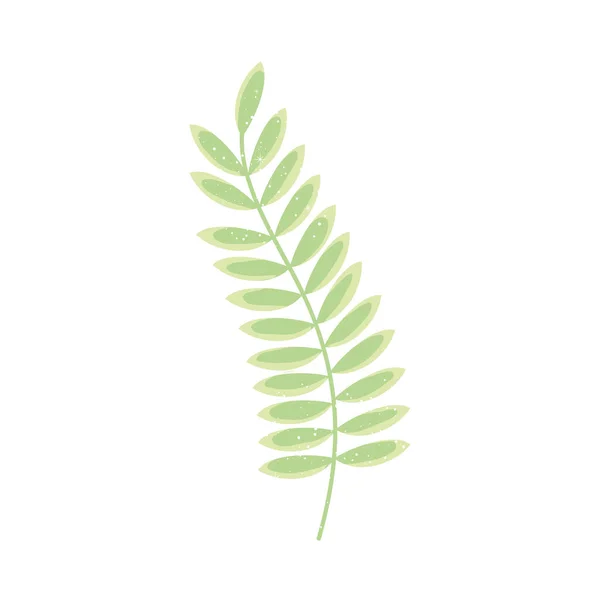 Dekoratív zöld levelek — Stock Vector