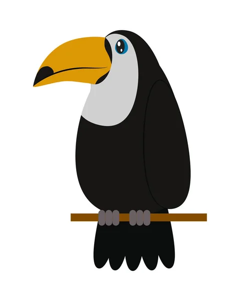 Cute toucan icon — Stock Vector