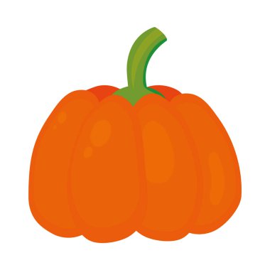 portakal kabağı sebzesi