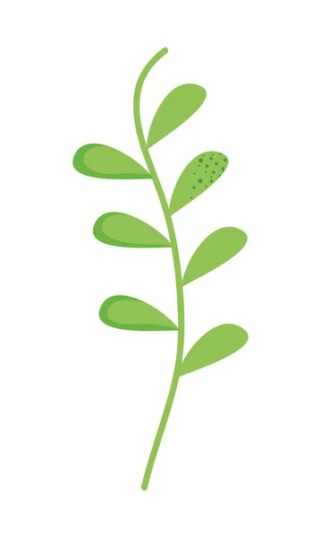 有茎的叶子 — 图库矢量图片