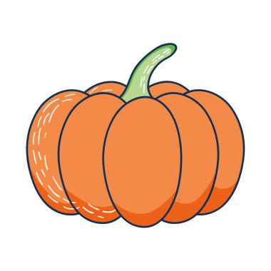 balkabağı sebze simgesi