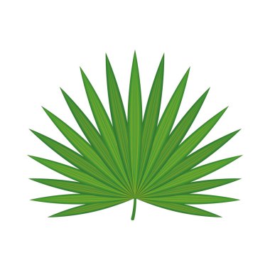 fan palmiyesi icoonu