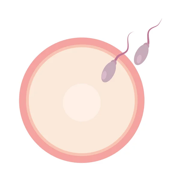 Progettazione di inseminazione artificiale — Vettoriale Stock