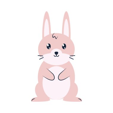 Şirin pembe tavşan