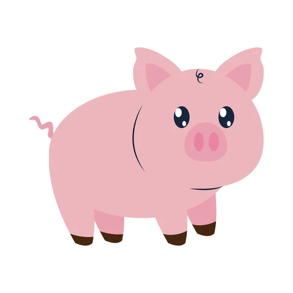 Cute pig icon — Stock Vector