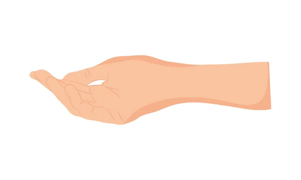 Menselijk handpictogram — Stockvector