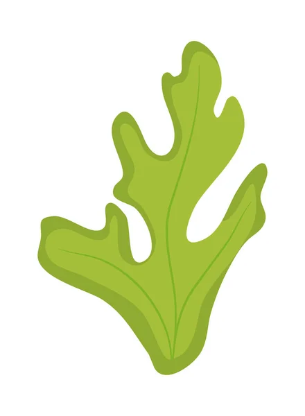 Icône feuille de camomille — Image vectorielle
