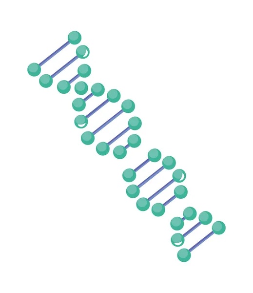 Цепочка ДНК — стоковый вектор