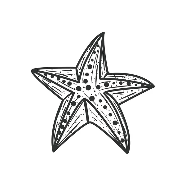 Estrella de mar animal — Vector de stock