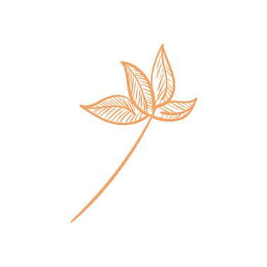 Bitki yaprakları simgesi