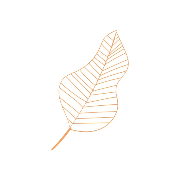 Gestreept plantenblad — Stockvector