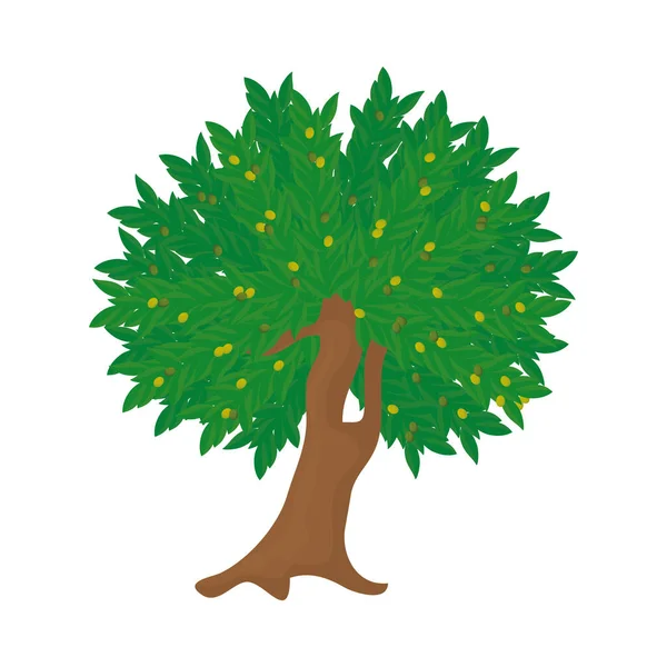 Zeytin ağacı tasarımı — Stok Vektör
