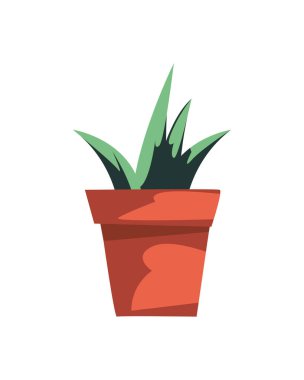 İzole bitki tasarımı