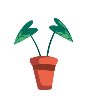 Tencerenin içine yerleştir