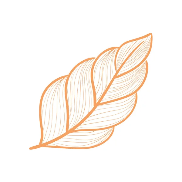Pomerančový list — Stockový vektor