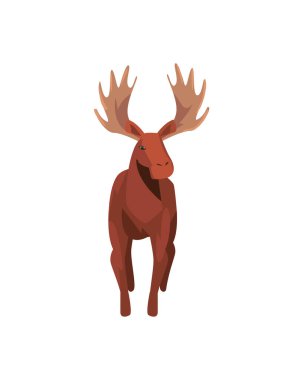 Sevimli ren geyiği çizgi filmi