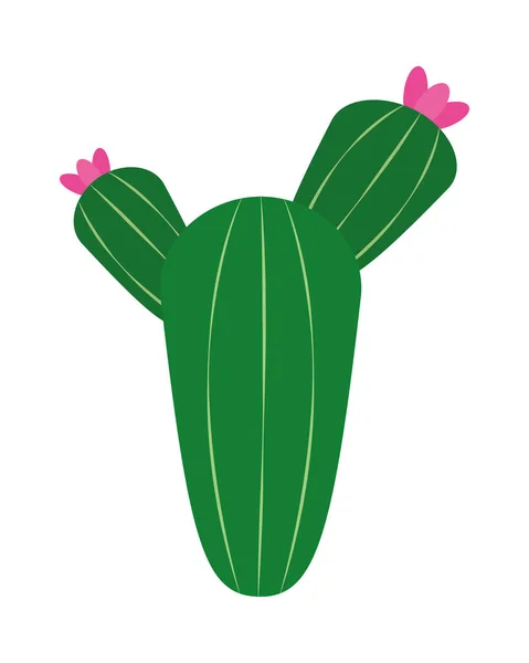 Icône de cactus floral — Image vectorielle