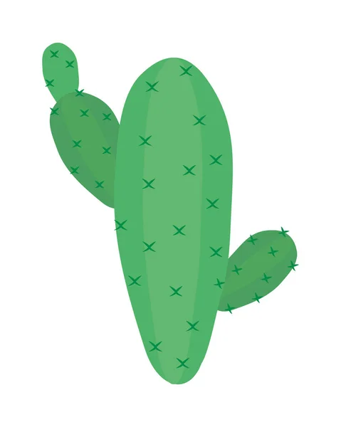 Conception de cactus de pin — Image vectorielle