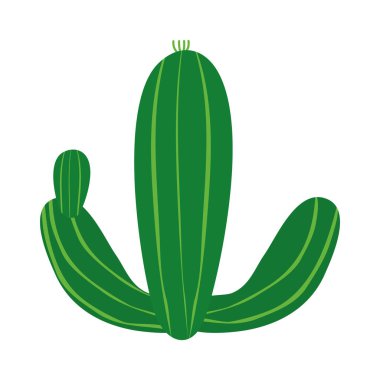yeşil kaktüs tasarımı
