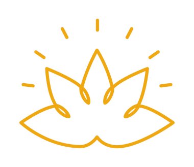 Nilüfer çiçeği parlıyor