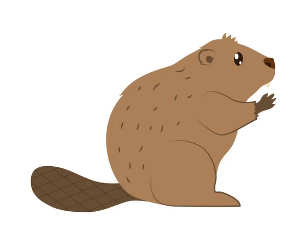 Beaver icon design — Stock Vector