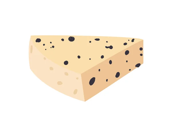 Fromage type roquefort — Image vectorielle