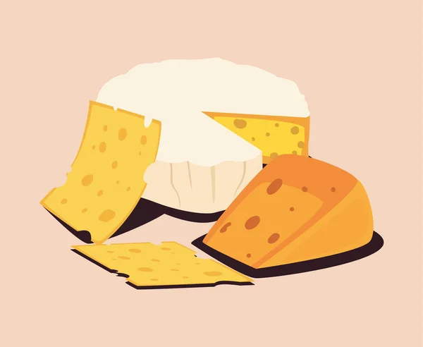 Çeşitli peynirler lezzetli. — Stok Vektör