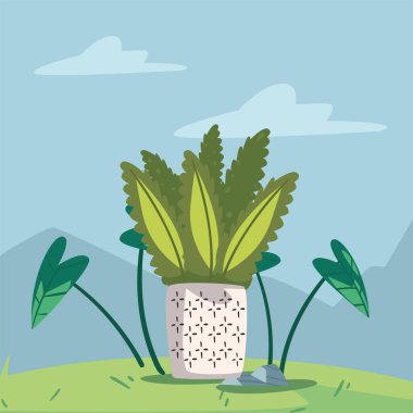 Beyaz çiçekli arka bahçe