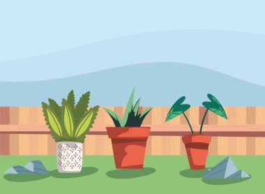 Arka bahçe çitleri ve bitkiler