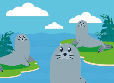 şirin fok karakterleri