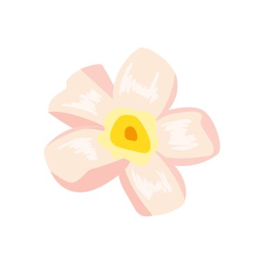 İzole edilmiş pembe çiçek