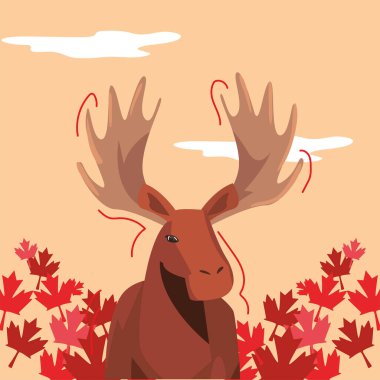 Kanada geyiği ve yaprakları