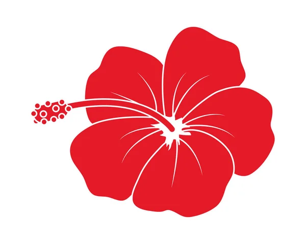 Rode hibiscus bloem — Stockvector