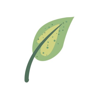 yaprak yeşili ile dal