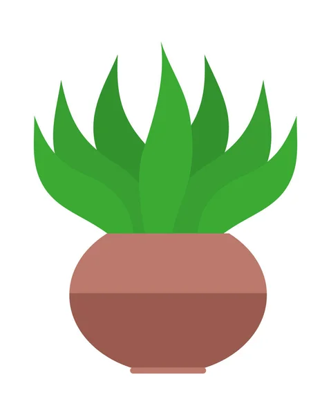 装饰植物图标 — 图库矢量图片