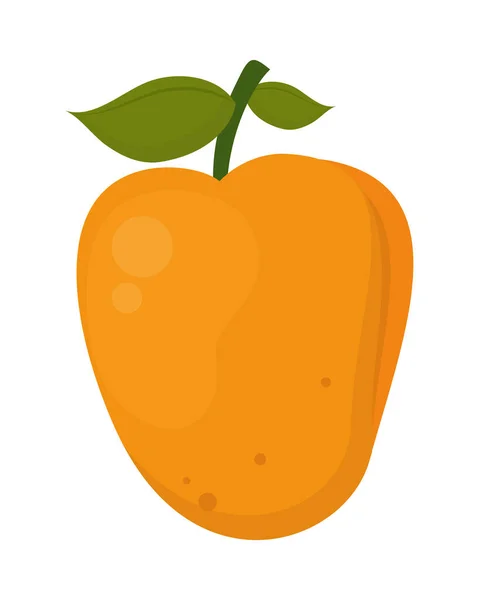 Mango fruit icon — Stock Vector