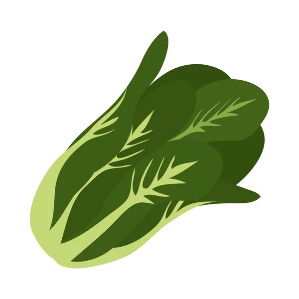 Lechuga icono vegetal — Vector de stock