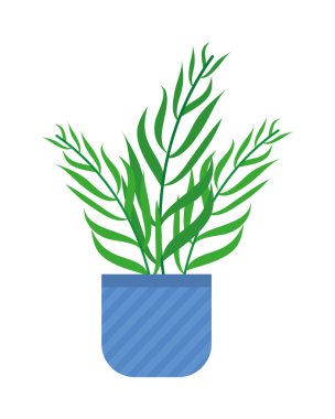 tropik palmiye bitkisi