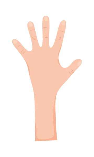 Open menselijke hand — Stockvector