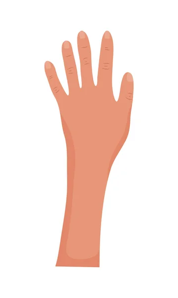 ไอคอนของมือ — ภาพเวกเตอร์สต็อก